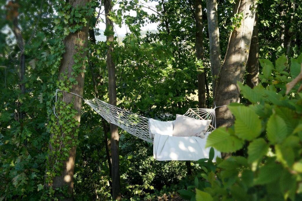 Wohnung Am Fusse Des Schwarzwalds Oberkirch  Luaran gambar