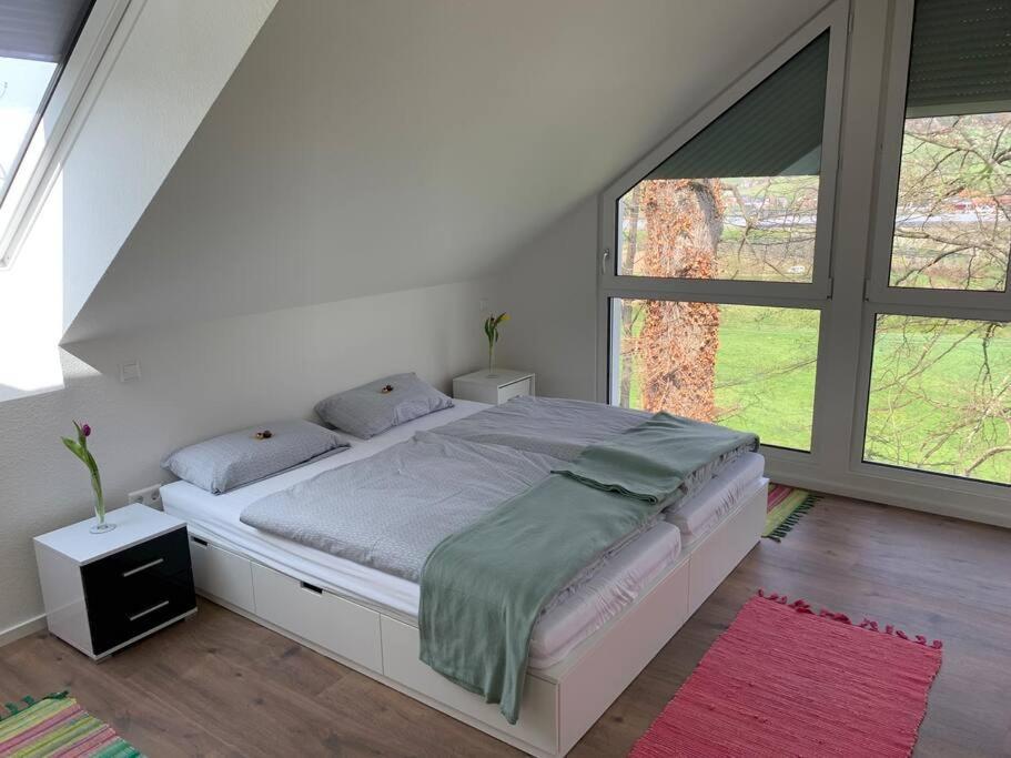 Wohnung Am Fusse Des Schwarzwalds Oberkirch  Luaran gambar