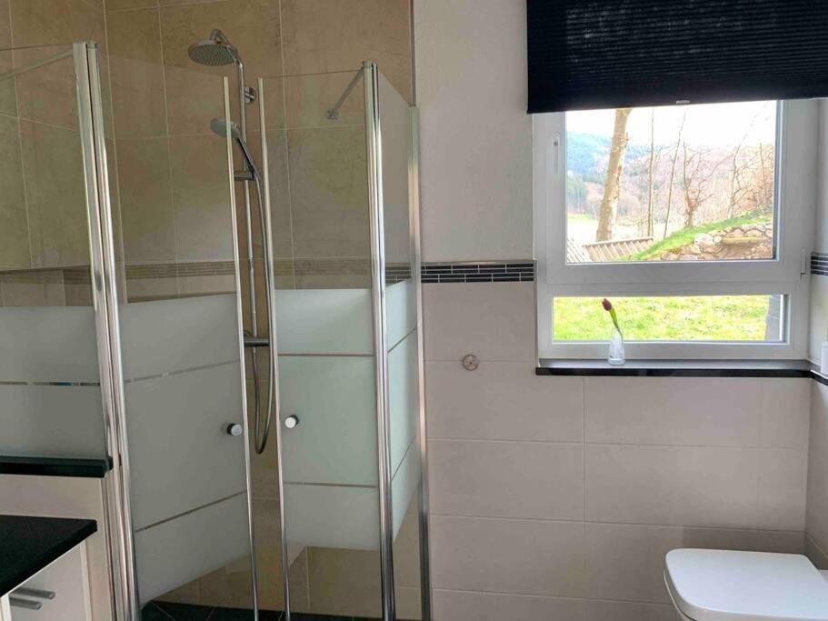 Wohnung Am Fusse Des Schwarzwalds Oberkirch  Luaran gambar